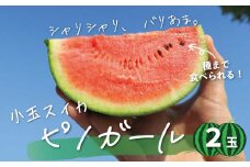小玉スイカ「ピノガール」2玉　北海道産”シャリ甘”　C107