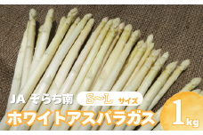 JAそらち南の味覚「ホワイトアスパラガス」S～L　1kg前後　C116