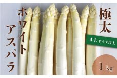 北海道栗山町産 極太ホワイトアスパラ（4Lサイズ以上）1kg オジファーム　E035