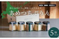 こだわりの北海道素材「あめつちぷりん」5個セット　D076