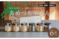 こだわりの北海道素材「あめつちぷりん」6個セット　D077