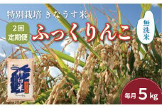 【無洗米2ヶ月定期便】特別栽培「きなうす米」ふっくりんこ5kg×2回　H048