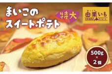 由栗いも使用「まいこのスイートポテト」特大（500g）2個　E039