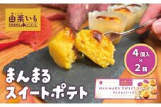 由栗いも使用「まんまるスイートポテト」4個入×2箱　C134