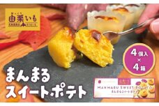 由栗いも使用「まんまるスイートポテト」4個入×4箱　E040