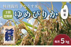 【精米2ヶ月定期便】特別栽培「きなうす米」ゆめぴりか5kg×2回　H041