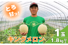 【大玉】とろける舌触り！東山農場産キングメロン 1玉　D083