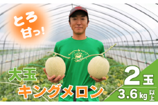 【大玉】とろける舌触り！東山農場産キングメロン 2玉　G028