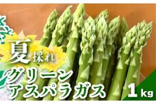 北海道栗山町産　夏のグリーンアスパラ（M～2Lサイズ）1kg オジファーム　D084