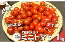 有機栽培 ミニトマト2品種食べ比べ「アイコ」「ほれまる」計1kg　栗山かなまる農園　B053