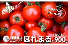 有機栽培 ミニトマト「ほれまる」150g×6パック　栗山かなまる農園　C138