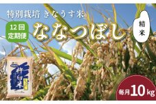 【精米12ヶ月定期便】特別栽培「きなうす米」ななつぼし10kg×12回　U004
