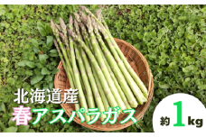 【先行予約】北海道栗山町産 春アスパラ 1kg程度 池田農林　YD064