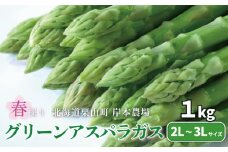 【先行予約】極太 北海道産 春採りグリーンアスパラガス 1kg 3L～2L 岸本農場　YE036