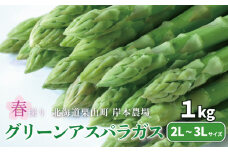 【先行予約】極太 北海道産 春採りグリーンアスパラガス 1kg 3L～2L 岸本農場　YE036