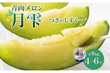 【2026年夏発送】北海道 青肉メロン 月雫 優品 4～6玉 計約8kg 令和8年 メロン 果物 フルーツ 旬 季節 希少 甘い 豊潤 国産 北海道産 デザート ご褒美 産地直送 産直 ギフト お祝い 贈答品 贈り物 御中元 お取寄 送料無料  [№5783-0330]