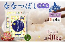 【令和7年産先行予約】北海道 定期便 隔月4回 令和7年産 ななつぼし 無洗米 5kg×2袋 特A 米 白米 ご飯 お米 ごはん 国産 ブランド米 時短 便利 常温 お取り寄せ 産地直送 送料無料  [№5783-0419]