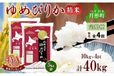 【令和7年産先行予約】北海道 定期便 4ヵ月連続4回 令和7年産 ゆめぴりか 5kg×2袋 特A 精米 米 白米 ご飯 お米 ごはん 国産 ブランド米 肉料理 ギフト 常温 お取り寄せ 産地直送 送料無料  [№5783-0463]