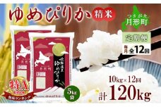【令和7年産先行予約】北海道 定期便 12ヵ月連続12回 令和7年産 ゆめぴりか 5kg×2袋 特A 精米 米 白米 ご飯 お米 ごはん 国産 ブランド米 肉料理 ギフト 常温 お取り寄せ 産地直送 送料無料  [№5783-0736]