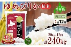 【令和7年産先行予約】北海道 定期便 12ヵ月連続12回 令和7年産 ゆめぴりか 5kg×4袋 特A 精米 米 白米 ご飯 お米 ごはん 国産 ブランド米 肉料理 ギフト 常温 お取り寄せ 産地直送 送料無料  [№5783-0738]