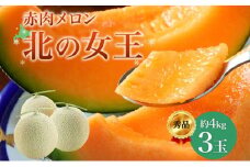 【2026年夏発送】北海道 赤肉メロン 北の女王 秀品 約1.6kg×3玉 計約4kg以上 令和8年 メロン 果物 フルーツ 旬 季節 希少 貴重 甘い 豊潤 国産 デザート 産地直送 ギフト お祝い 贈答品 贈り物 常温 お取寄 送料無料 果物類 [№5783-0796]