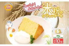 ななつぼし100％使用 米粉シフォン 10個 ななつぼし使用 北海道産 国産 米粉使用 米粉 シフォン シフォンケーキ ふわふわ 備蓄 冷凍 冷凍保存 小分け 一人暮らし お取り寄せ 送料無料 北海道 月形町[№5783-0832]