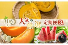 月形町 人気の厳選 定期便 3回お届け メロン 赤肉 スイカ かぼちゃ 南瓜 果物 フルーツ 野菜 旬 季節 送料無料[№5783-0897]
