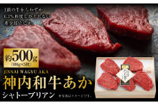 神内和牛あか シャトーブリアン 約500g 5枚入り  肉 お肉 牛肉 和牛 希少部位 冷凍 北海道 浦臼町