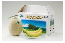 キングメルティーメロン 2玉 （1玉 約1.6kg） 【2025年7月上旬～2025年7月下旬発送予定】 果物 フルーツ メロン めろん 青肉 希少フルーツ 希少品 北海道 浦臼町