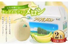 キングメルティーメロン 2玉 （1玉 約1.6kg） 【2026年7月上旬～7月下旬迄順次発送予定】 果物 フルーツ メロン めろん 青肉 希少フルーツ 希少品 北海道 浦臼町