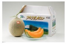 レッドメロン 2玉 （1玉 約1.6kg） 【2025年7月上旬～2025年7月下旬発送予定】 果物 フルーツ メロン めろん 赤肉 赤肉メロン 贈答 北海道 浦臼町