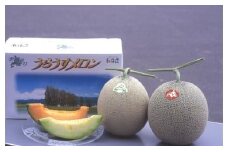 メロン 赤・青セット （1玉 約1.6kg） 【2025年7月上旬～2025年7月下旬発送】 果物 フルーツ めろん 2玉 詰め合わせ セット 赤肉 青肉 北海道 浦臼町