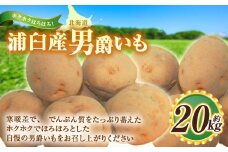 男爵いも 約20kg 【2025年9月中旬～2025年10月中旬発送予定】 野菜 芋 いも じゃがいも ジャガイモ ポテト 男爵 北海道 浦臼町