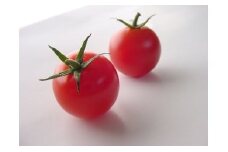 ミニトマト 約3kg 【2024年7月上旬～2024年8月下旬発送】 野菜 トマト とまと 3kg 高糖度 北海道 浦臼町