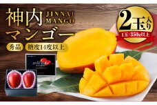 神内マンゴー 秀品 350g以上 2玉入り 【2025年7月上旬～2025年9月下旬発送】 果物 フルーツ マンゴー アーウィン 化粧箱 2玉 北海道 浦臼町