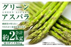 グリーンアスパラ M・Sセット  合計約2kg 【2025年4月下旬～2025年5月下旬発送】 野菜 アスパラガス アスパラ 旬 M S 北海道 浦臼町
