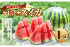 マドンナスイカ  1玉　（2～3Lサイズ） 【2026年7月上旬～2026年7月下旬発送予定】 果物 フルーツ すいか スイカ 西瓜 季節のフルーツ 旬のフルーツ 旬 甘い 北海道 浦臼町