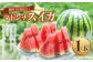 マドンナスイカ  1玉