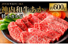神内和牛あか 【特上カルビ】 約600g×1パック  肉 お肉 牛肉 和牛 カルビ 特上 冷凍 北海道 浦臼町
