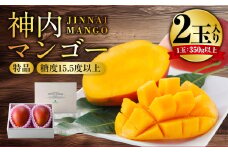 神内マンゴー 特品 350g以上 2玉入り 【2025年7月上旬～2025年9月下旬発送】 果物 フルーツ マンゴー アーウィン 中サイズ 2玉 木箱 贈答 北海道 浦臼町