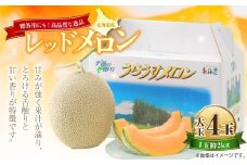 レッドメロン 大玉 4玉 （1玉 約2kg） 【2026年7月上旬～7月下旬迄順次発送予定】 果物 フルーツ メロン めろん 赤肉 赤肉メロン 贈答 北海道 浦臼町