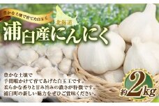 浦臼産 にんにく 約2kg 【2025年9月上旬～2025年12月中旬発送予定】 ニンニク 薬味 ガーリック 野菜 北海道 浦臼町