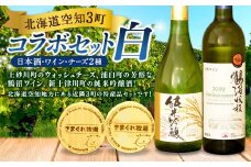 北海道空知３町コラボセット（白）（上砂川町・浦臼町・新十津川町）チーズ ワイン 白ワイン 純米吟醸酒 セット