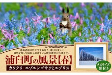 浦臼町の風景（A４サイズ）額付き 春