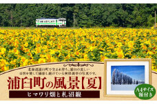 浦臼町の風景（A４サイズ）額付き 夏