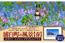 浦臼町の風景（A５サイズ）額付き 春