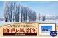 浦臼町の風景（A５サイズ）額付き【D】冬「ポプラ並木」