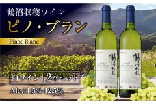 鶴沼収穫ワイン 【ピノ・ブラン】 白ワイン 2本セット  計1500ml（750ml×2本） アルコール11.5％-12.5％ お酒 酒 ワイン セット