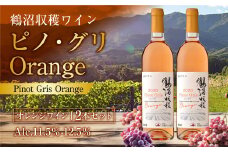 鶴沼収穫ワイン 【ピノ・グリOrange】 2本セット  計1500ml（750ml×2本） アルコール11.5％-12.5％ お酒 酒 ワイン オレンジワイン セット