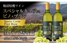 鶴沼収穫ワイン 【スペシャルキュヴェ ピノ・ブラン】 白ワイン 2本セット 計1500ml（750ml×2本） アルコール11.5％-12.5％ お酒 酒 ワイン 熟成 セット